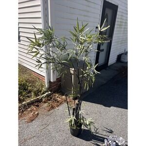 🌿 Artificial palmPlant in Black Pot – 52" Tall approx.